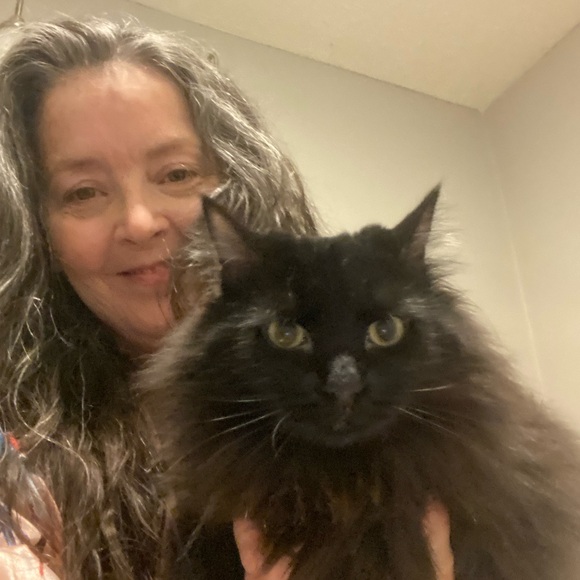 Meet your Posher, Diana - Picture 9 of 12